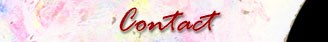 Contact Email